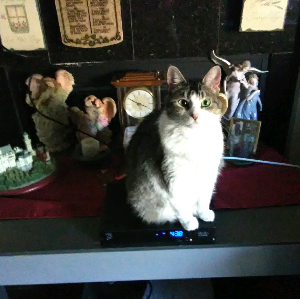 Meet your Posher, Barb